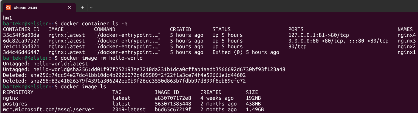 Featured image of post Containers Land: Docker Basics