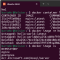 Containers Land: Docker Basics